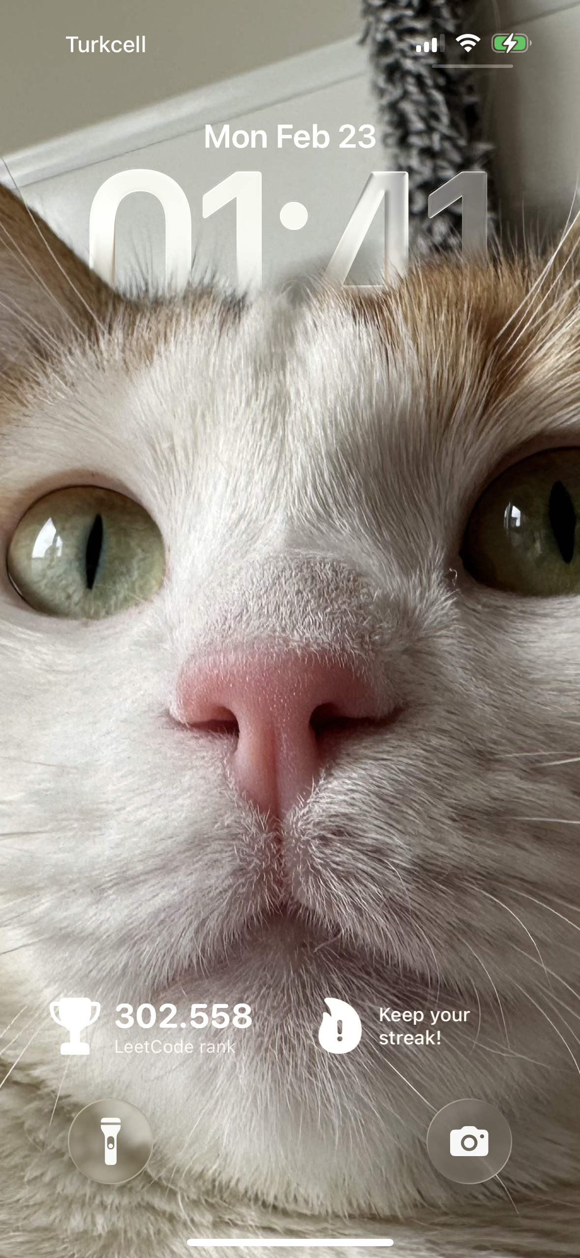 LeetTrack lock screen widgets